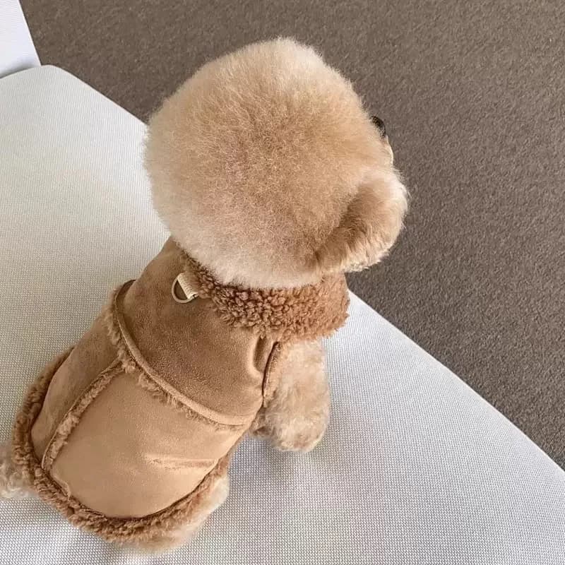 Felpa con Cappuccio Invernale per Cani, Abbigliamento per Cani Piccoli, Cappotto per Chihuahua, Costume per Cuccioli e Gatti
