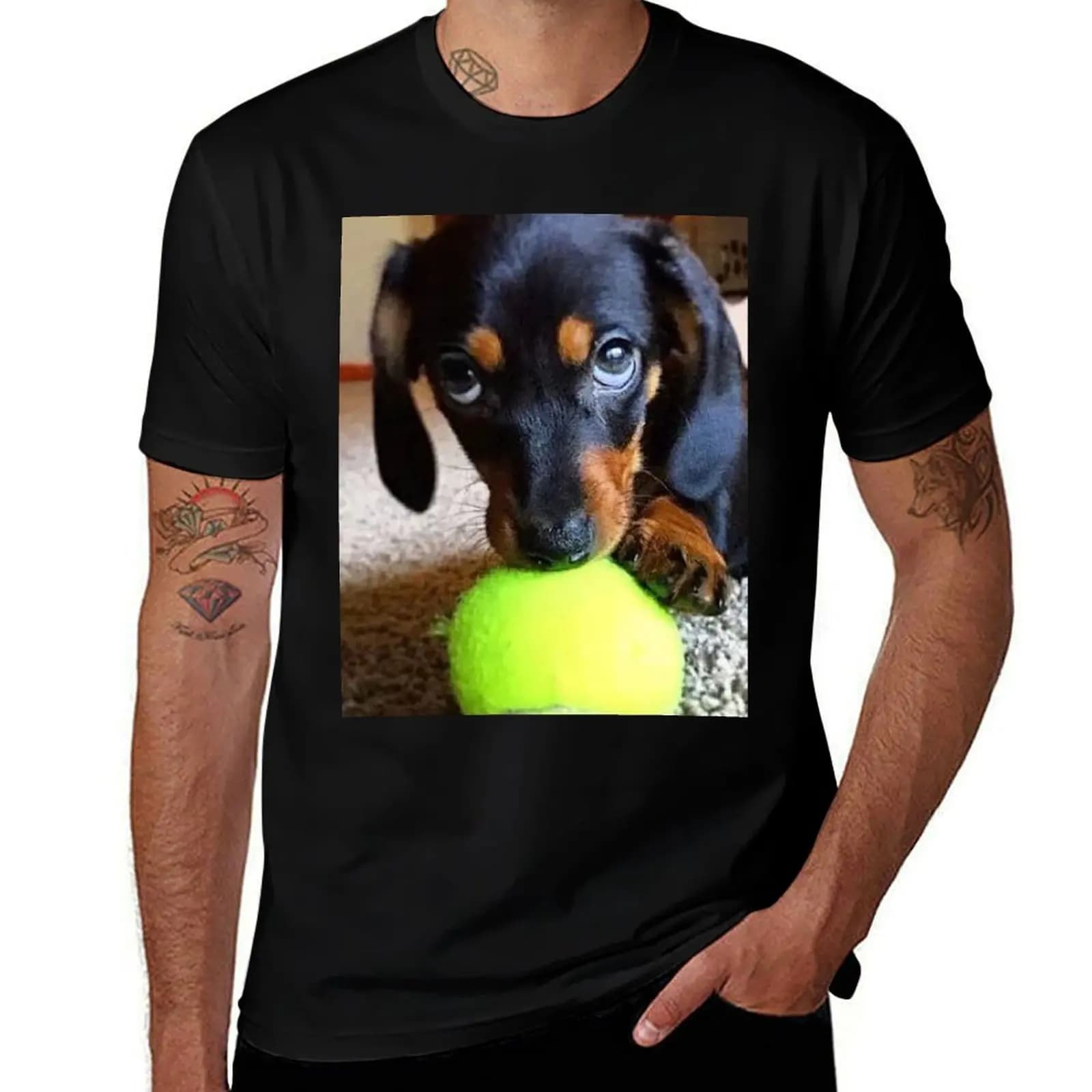 Ritratto fotografico del cane Bassotto, dolce e divertente con palla da tennis, T-shirt morbida ed elasticizzata a maniche corte