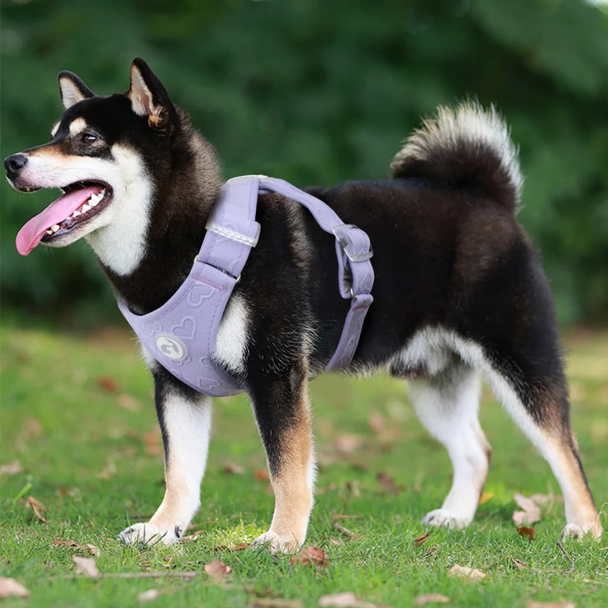 Imbracatura per cani facile da indossare e togliere, stile gilet con guinzaglio, resistente agli urti, per cani di piccola e media taglia.