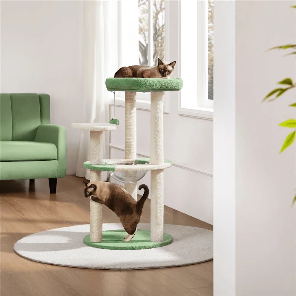 1 Pezzo Albero per Gatti Ocean Cat Tree, Torre per Gatti, Arredamento per Gatti con Cuccia Trasparente