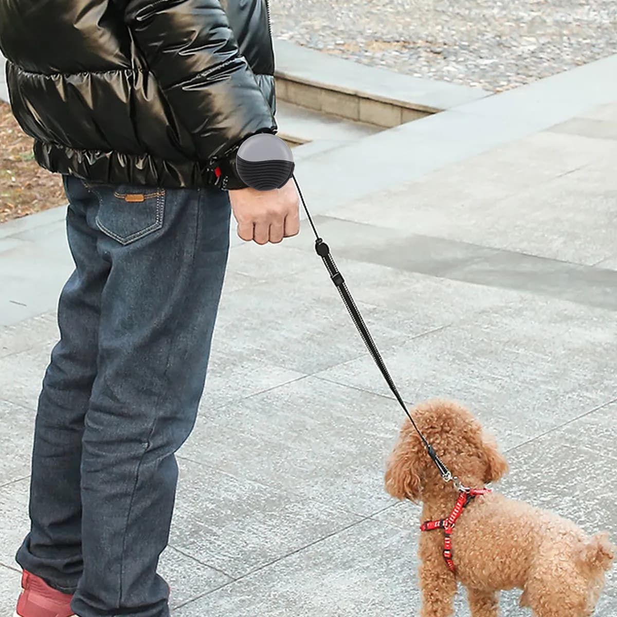 1 Pezzo Guinzaglio Automatico Estensibile per Cani, Corda in Nylon per Passeggiate, Jogging, Corsa, Campeggio, Controllo di Sicurezza