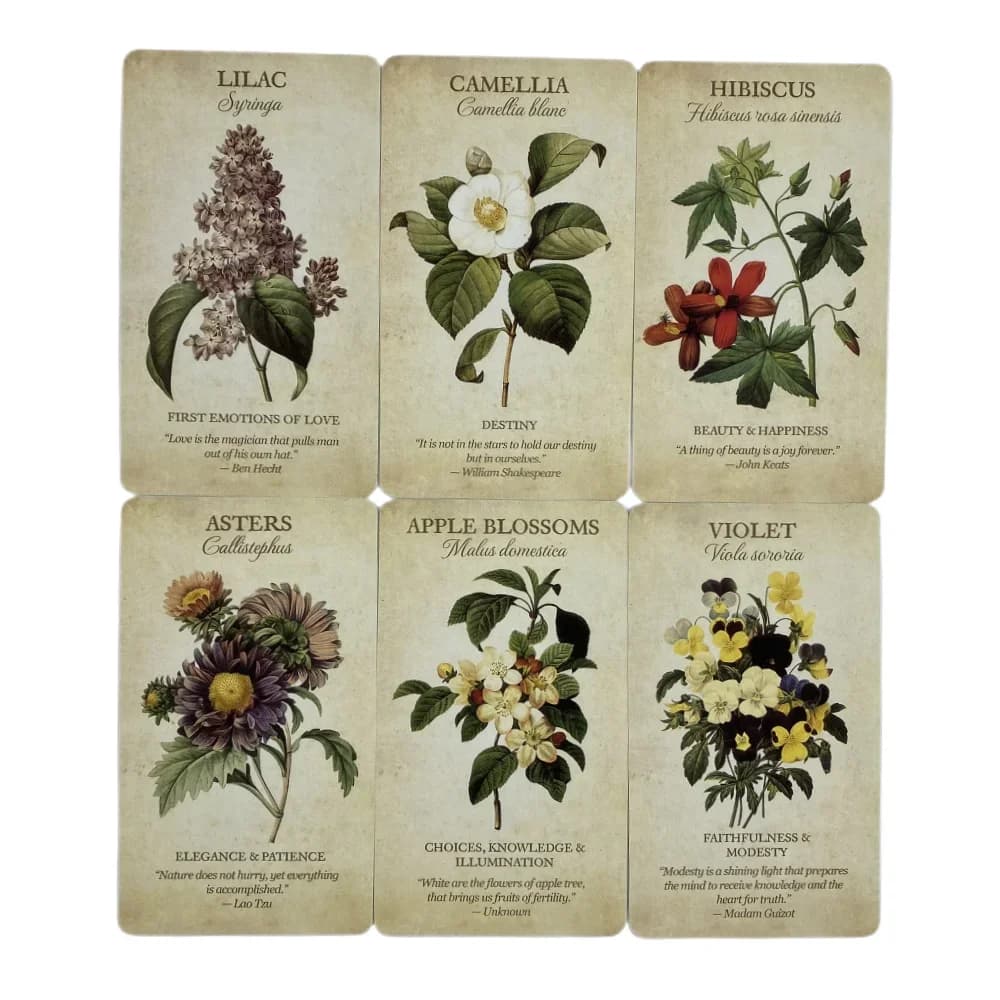 Carte Oracolo Botanical Inspirations, un mazzo di tarocchi da 44 carte, edizione inglese per la divinazione, giochi da tavolo per feste