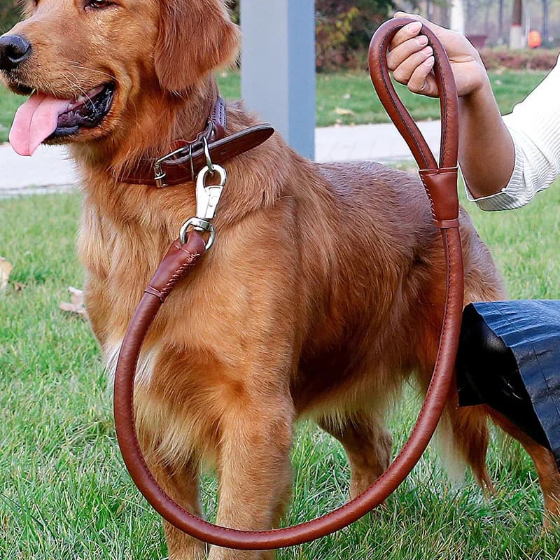 1pc Cinghie per il collo del cane in pelle Set di guinzagli per addestramento a piedi per animali domestici Indossabile Forte Prevenire lo scoppio Corda da trazione per esterni
