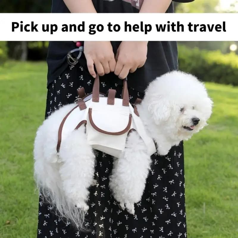Moderno trasportino per cani a tracolla portatile tessuto permanente dimensioni dense animali attivi uso esterno bianco