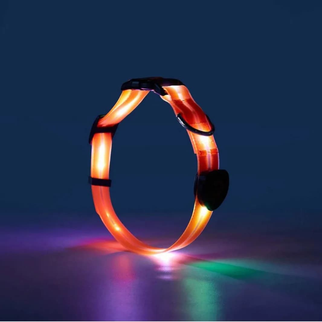 Collare per cani illuminato a LED impermeabile, set di guinzagli riflettenti luminosi per cani di piccola taglia media e grande, sicurezza notturna