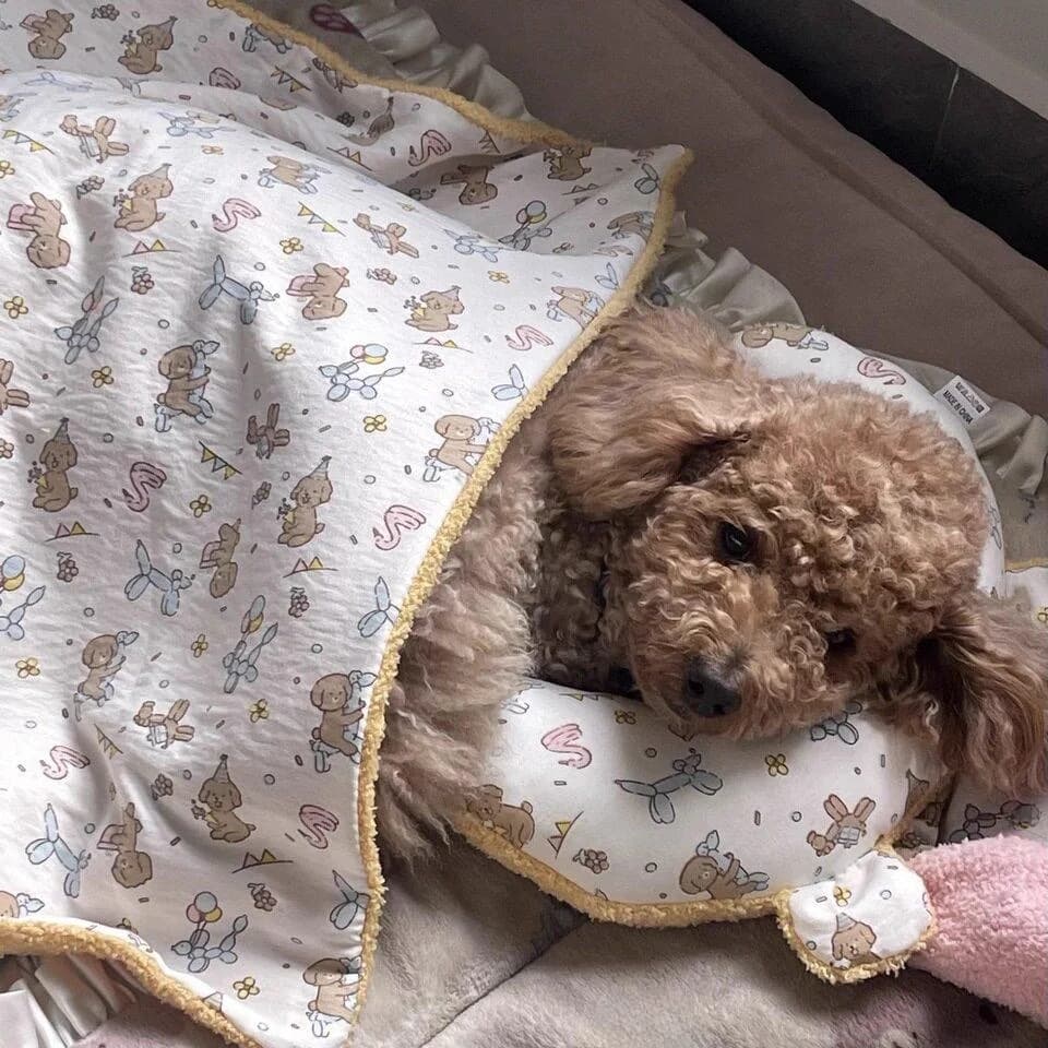 Coperta per Cani di Piccola Taglia, Cuscino per Teddy e Bichon, Trapunta Calda Invernale, Tappetino per Cuccia, Design Non Smontabile, Comoda Casa per Cani di Taglia Media
