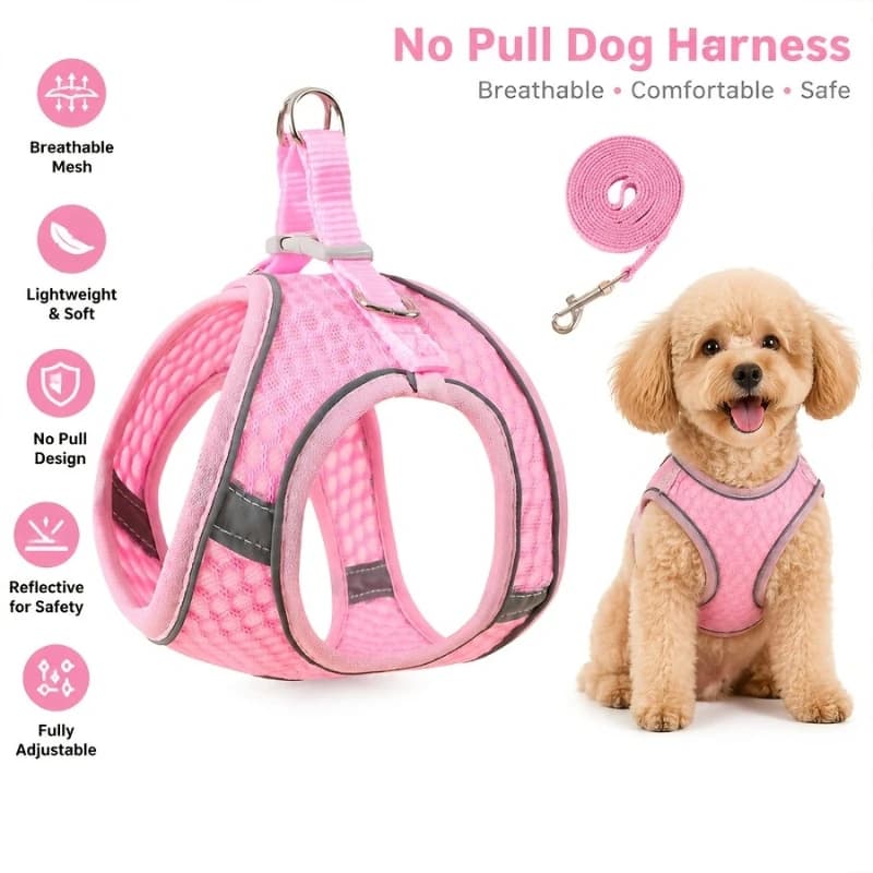Soft Mesh Dog Chest Strap, Suitable for Training Walks, Adjustable Dog Vest, Suitable for Small and Medium-sized Dogs and Cats