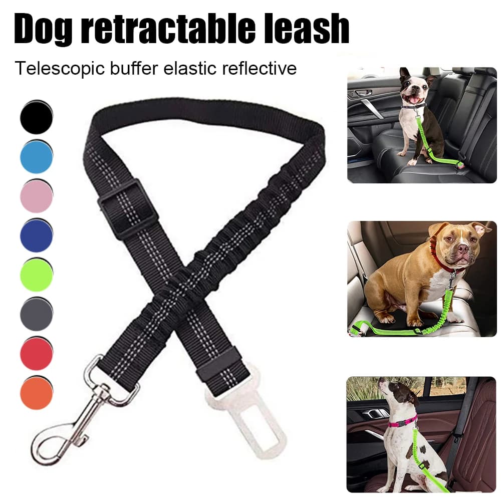 Cintura di sicurezza per auto per animali domestici Guinzaglio in nylon Cintura di sicurezza per sedile posteriore per veicolo Collare per imbracatura per cani regolabile Accessori per animali domestici da passeggio all'aperto