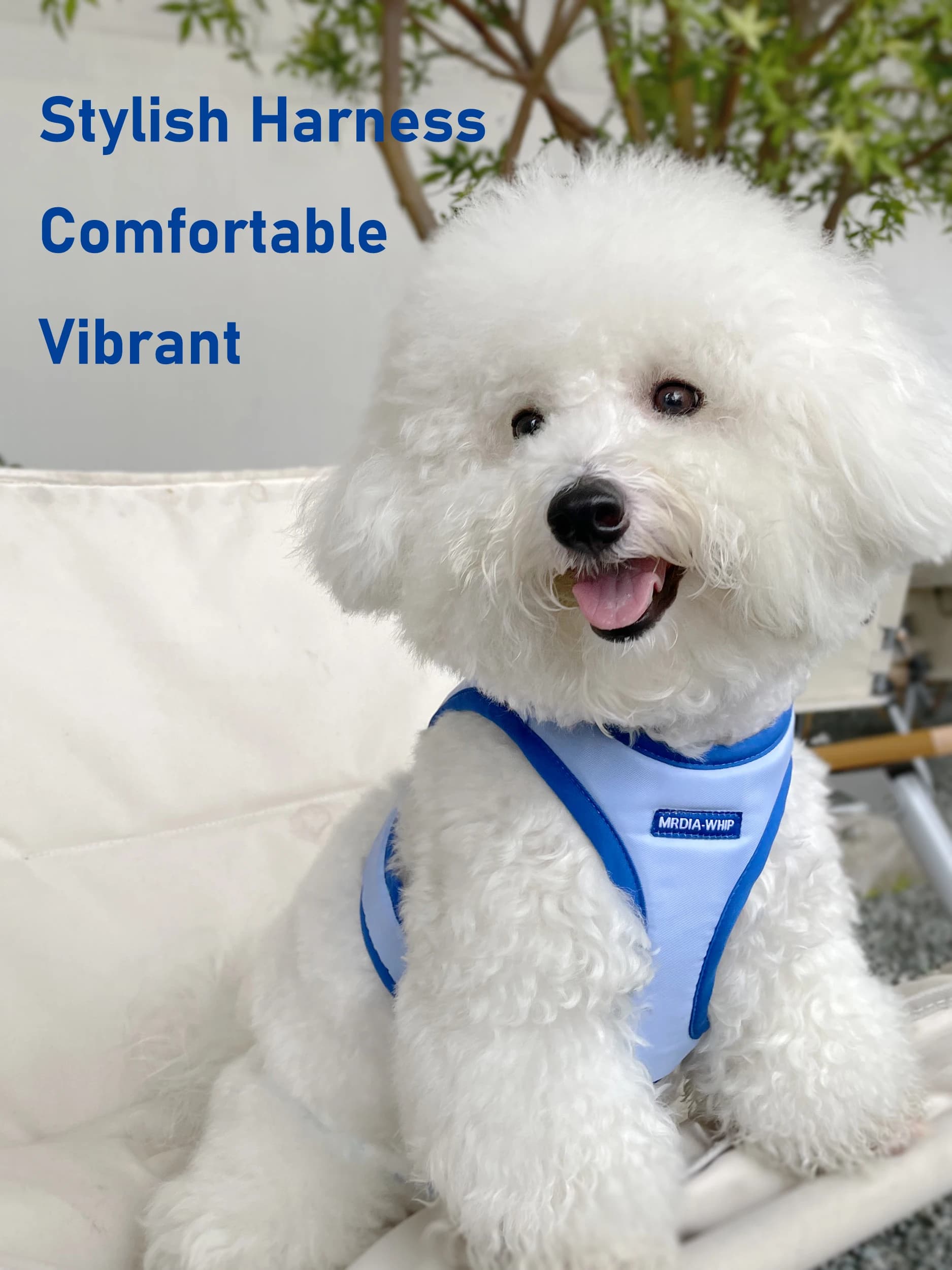 gilet per cani imbracatura da medio a piccolo cane I-beam Bichon corda da passeggio per cani guinzaglio per gatti collare per animali guinzaglio a catena per cani