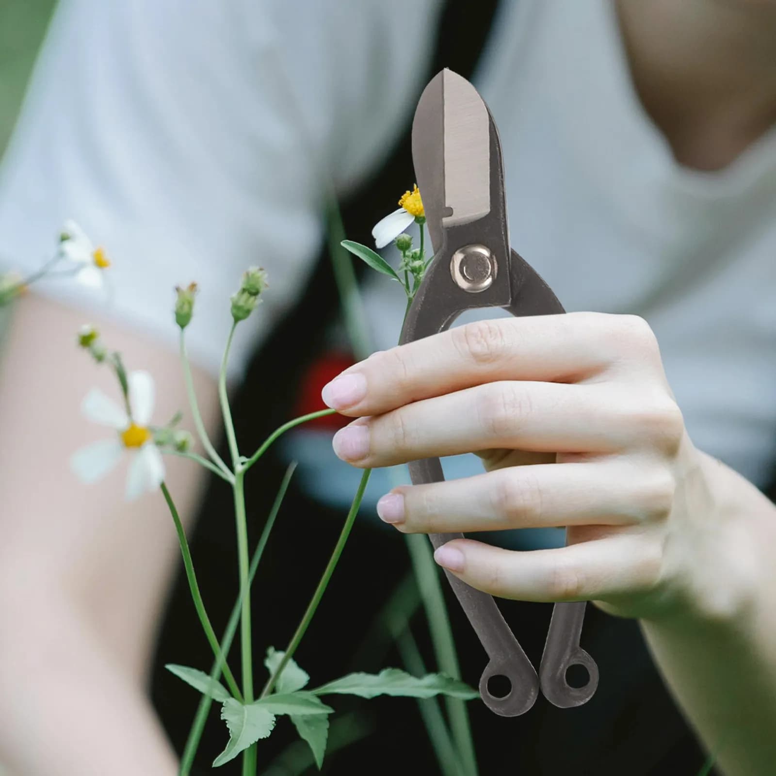 Forbici Professionali da Giardinaggio con Manico Satinato e Lame in Acciaio per Potatura di Rami, Fiori e Frutteti