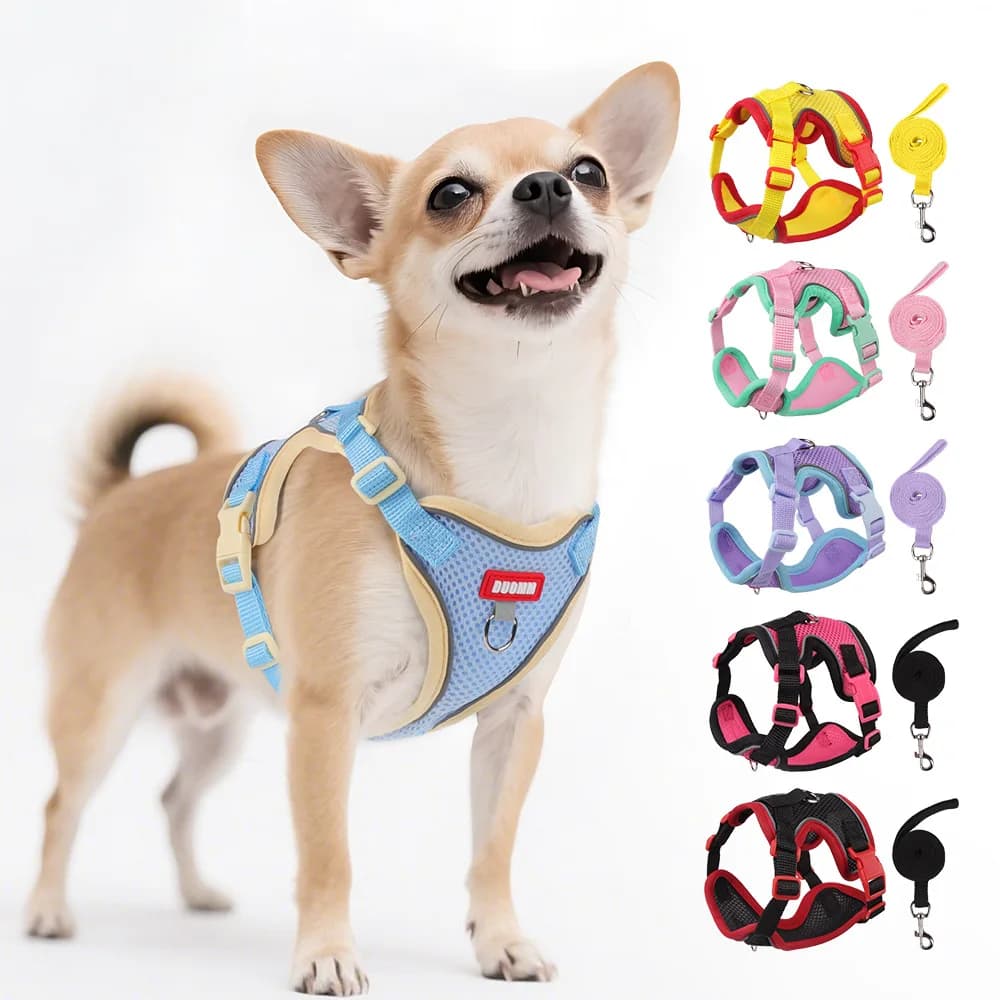 Gilet per imbracatura per cani con corda Imbracatura riflettente regolabile per animali domestici per piccola, media, a prova di fuga, in morbida rete traspirante, da corsa