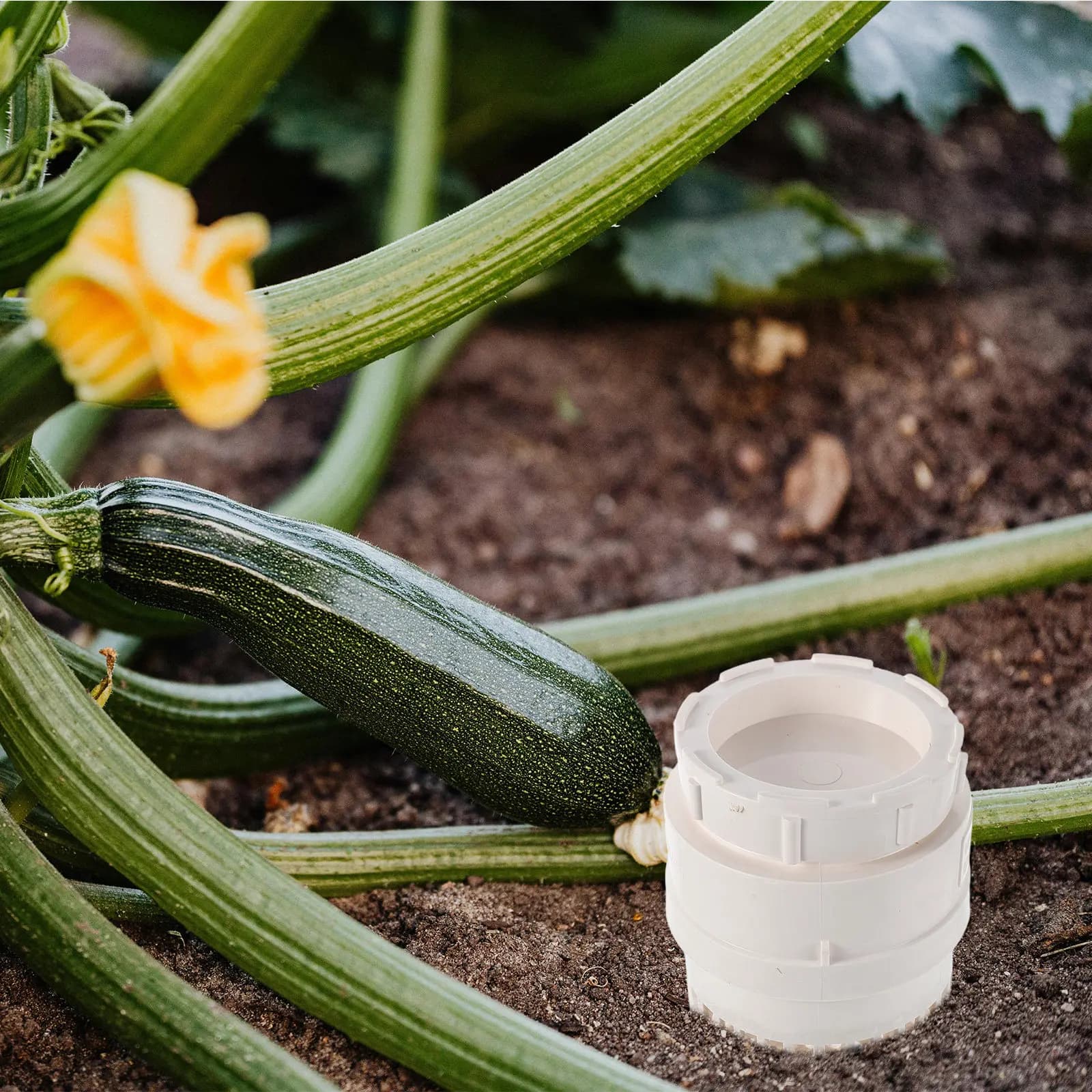 Underground Worm Composting Bin Plastic Earthworm Container Ventilated Lid Inground Kitchen Food Waste Recycling Garden Compost