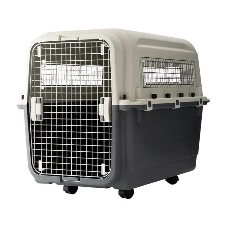 Trasportino IATA per Cani e Gatti di Lusso, Grande, su Ruote, Approvato per Viaggi Aerei, in Plastica, Grigio e Bianco, 7-15 Giorni