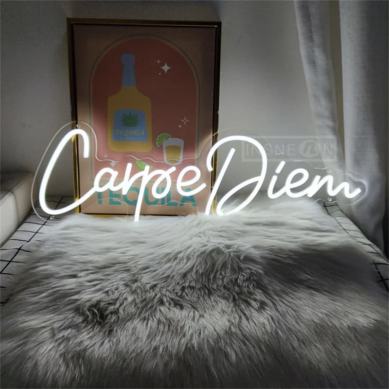 Carpe Diem Neon Sign Latin Neon Sign For Wall Decor Club Party Shop Home Bedroom Wall Hanging LED Decoration Birthday Gift Lamps