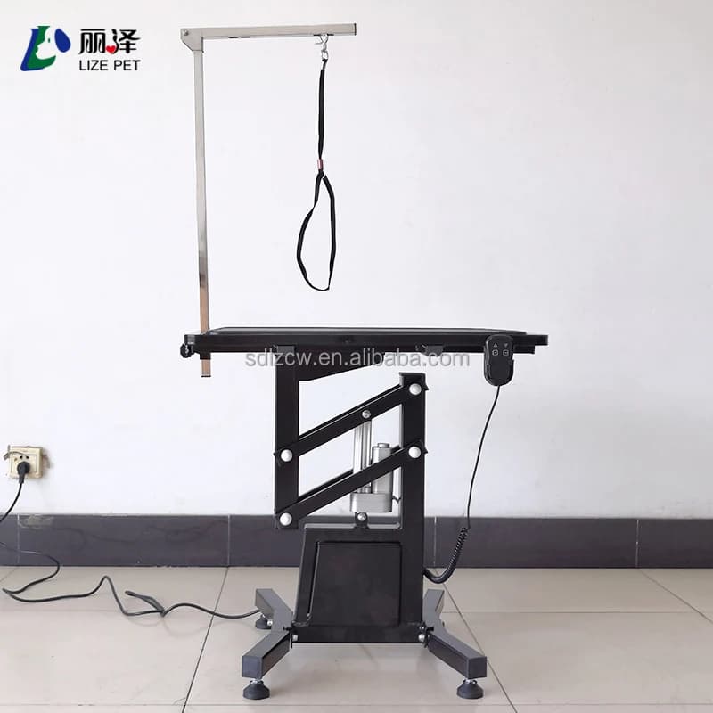 Eco-Friendly Small and Medium Animal Dog & Cat Grooming Table Pet Electric Lifting Grooming Table Small Dog Beauty Tables