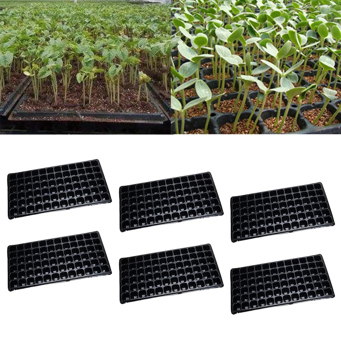 6Pcs 72 cells starter tray for seed germination of the nursery plant that begins to grow black plastic vase for flowering herbs for garden plants