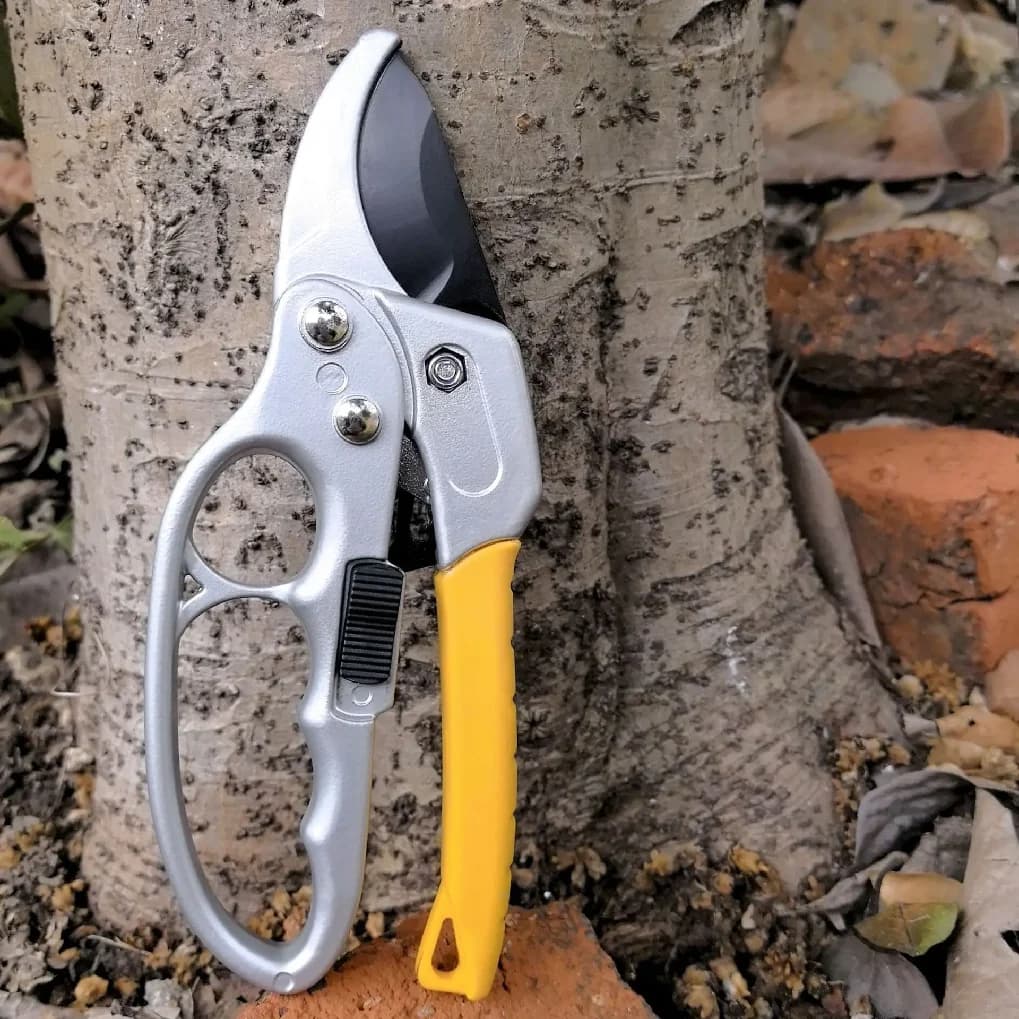 SK5 Rust-resistant wide teeth pruning scissors, pruning scissors with pulleys, pruning scissors for fruit trees, horticulture