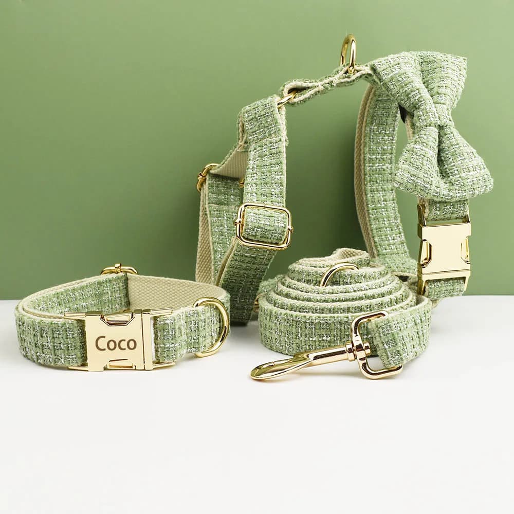 Set Collare e Pettorina Verde Limone per Cani con Targhetta Personalizzata Incisa, Accessori Personalizzati per Cani con Guinzaglio