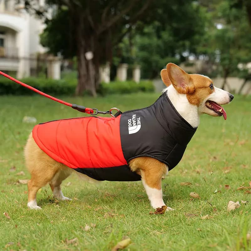 L-7XL Giacca invernale impermeabile calda Corgi Giacca calda per cani Cane medio Cane grande Labrador Abiti da gita invernale