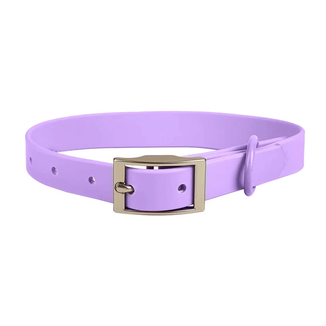 Set di guinzagli per collare per animali domestici Set di guinzagli e guinzagli per collare per cani anti-morso impermeabile regolabile