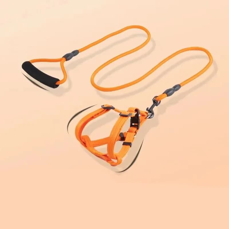 Guinzaglio per cani di taglia grande/media/piccola, semplice e traspirante, set da 2/3 pezzi, guinzaglio per passeggiate LJ247