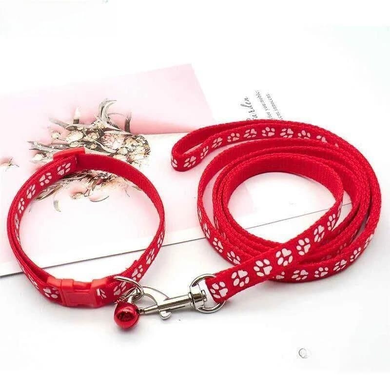 Set Guinzaglio e Pettorina per Cani, Corda da Passeggio, Attrezzatura per Animali Domestici, Guinzaglio Regolabile per Cuccioli, Accessori per Animali
