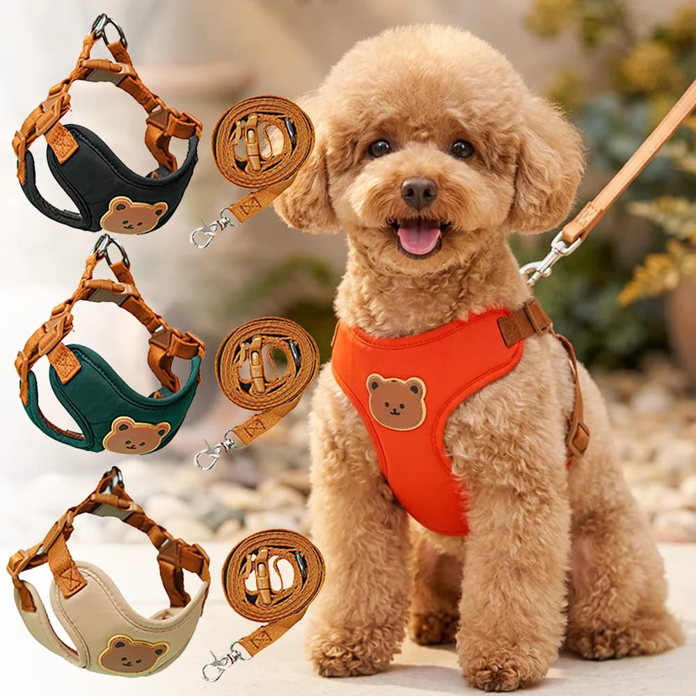 Adjustable Soft Mesh Dog Harness and Leash Set, Breathable No-Pull Vest for Small Medium Dogs, Puppy Walking Vest