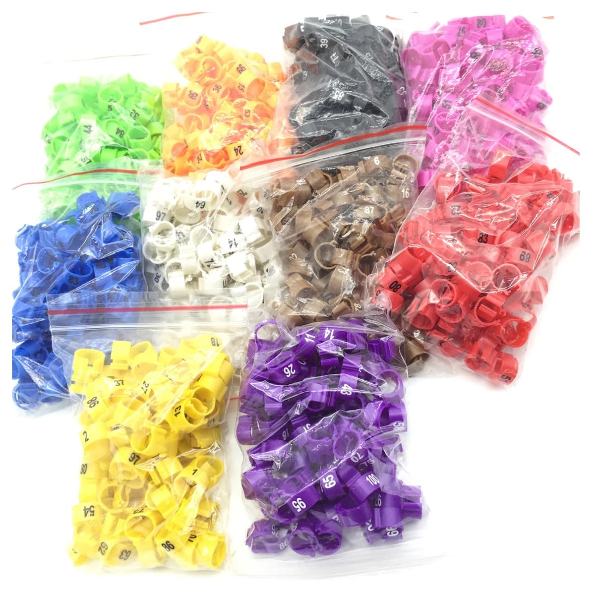 1 Pack/100 Pz Digital Plastic Bird Clips Piede Rings Diameter Interior 10mm Pappagallo Pigeon Identifying Rings for Gamba No.1~100 10 Colors