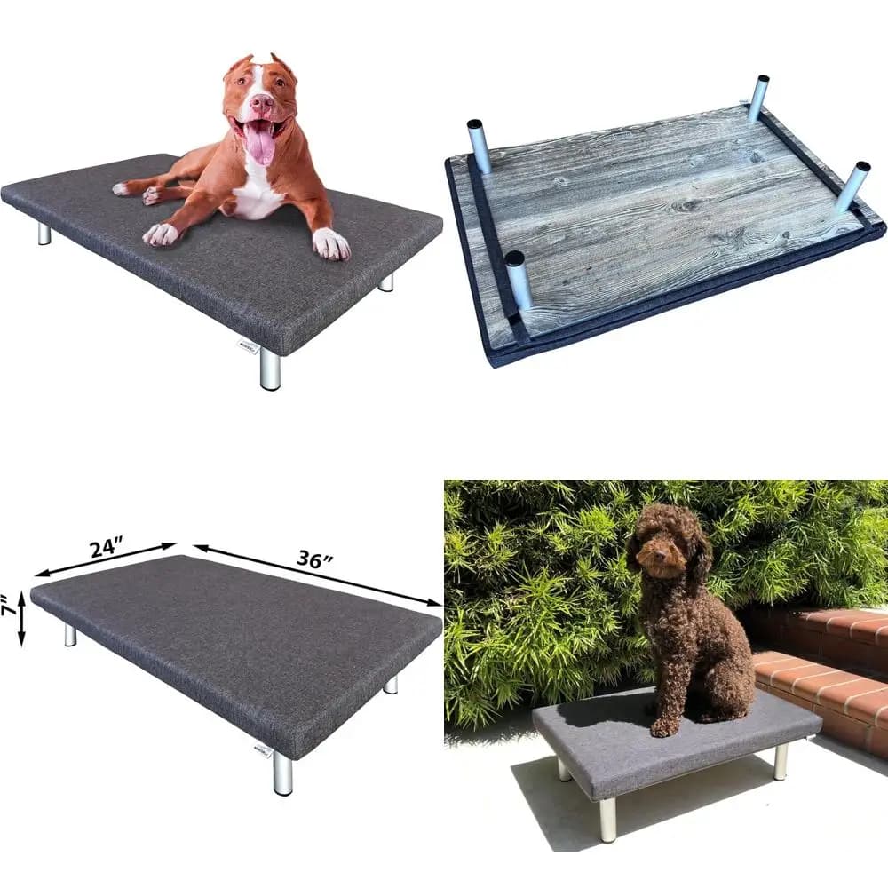 Letto per cani impermeabile rialzato - Lettino per animali domestici per interni ed esterni resistente con materasso in schiuma, laminato ad alta pressione per comfort e durata