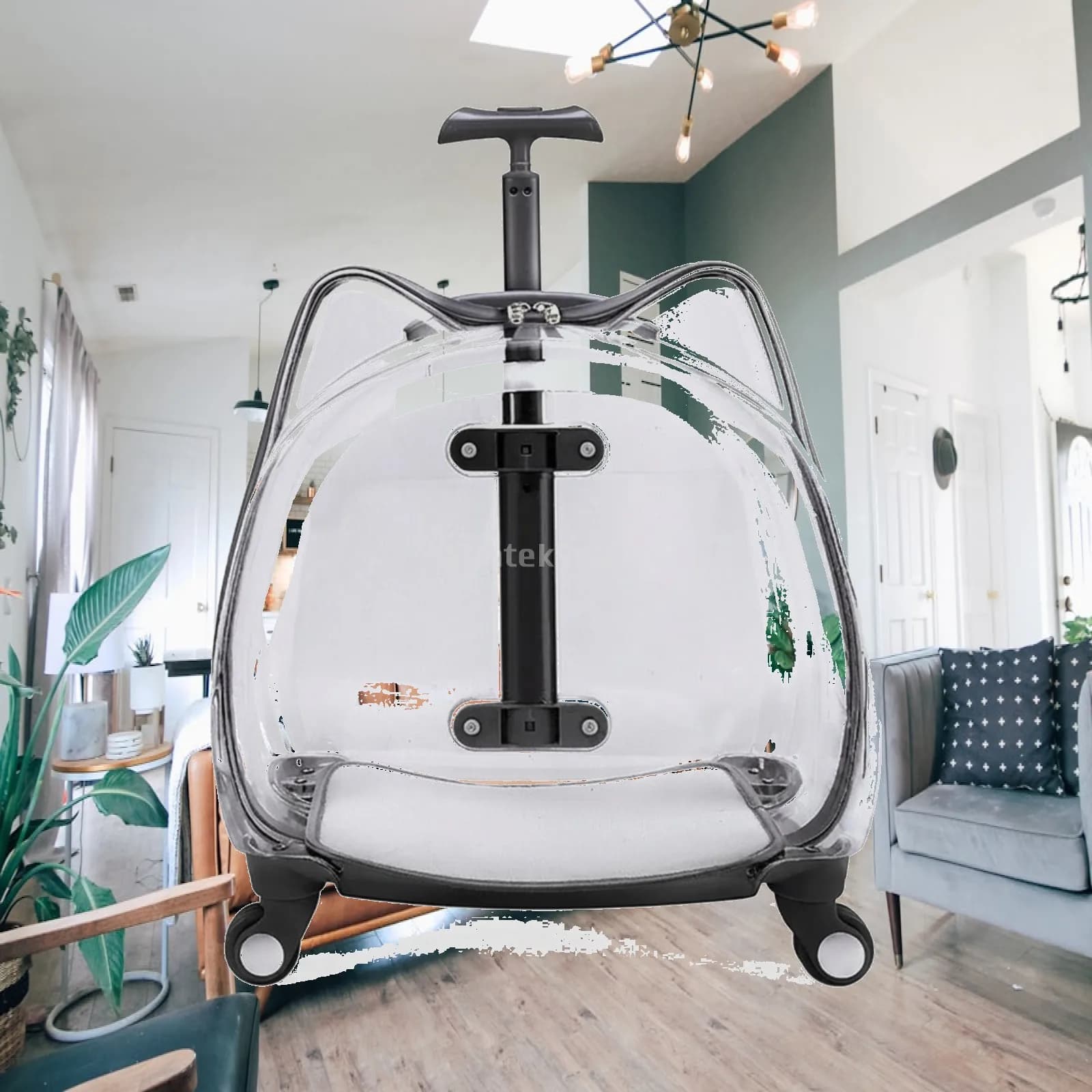 Pet Carrier with Wheels Transparent Pet Carrier Suitcase Hard-Sided Cats, Small Dogs, Travel, Airport, Professional Visits
