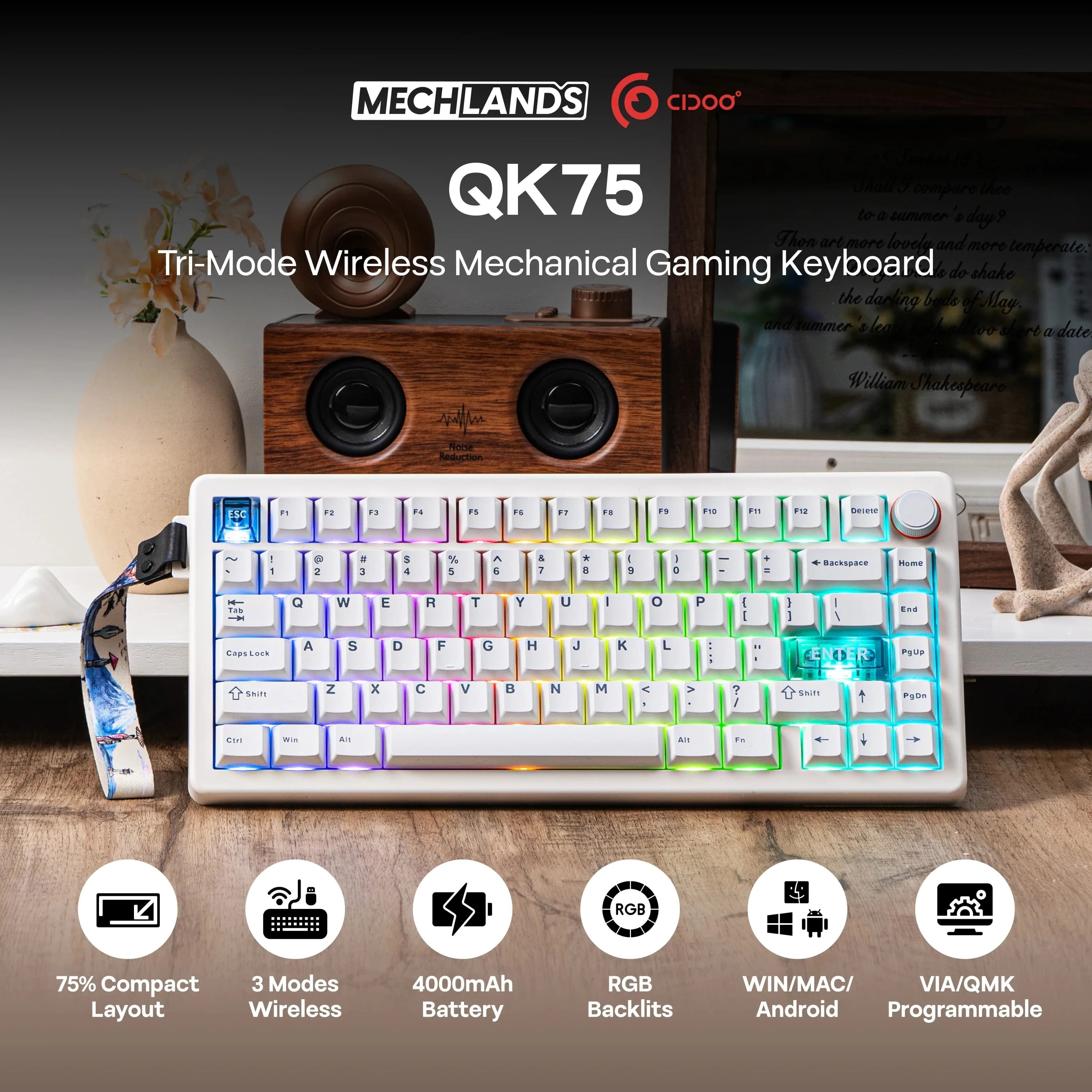 Tastiera Meccanica CIDOO QK75 75% VIA Programmabile con Cavo/Bluetooth/Wireless 2.4GHz, Batteria da 4000mAh e Retroilluminazione RGB