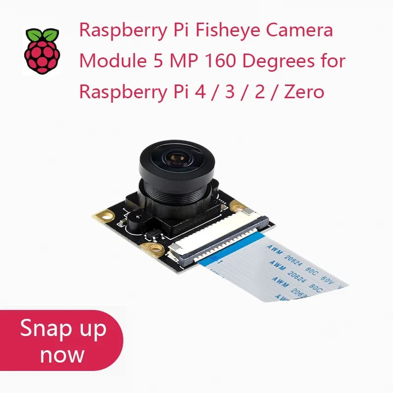 Modulo telecamera Fisheye Raspberry Pi 5 milioni di pixel grandangolare 160 gradi Supporto per messa a fuoco manuale