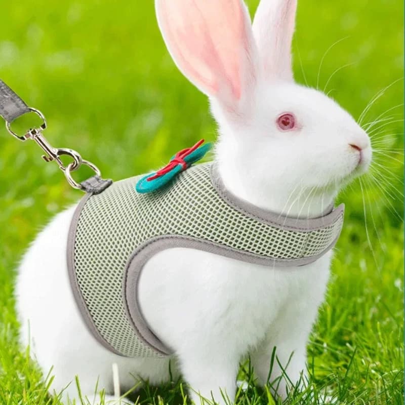 Imbracature per conigli Gilet elegante e traspirante Borsa da trasporto per piccoli animali domestici Imbracatura morbida regolabile e guinzaglio elastico Set Collare Para Gatos