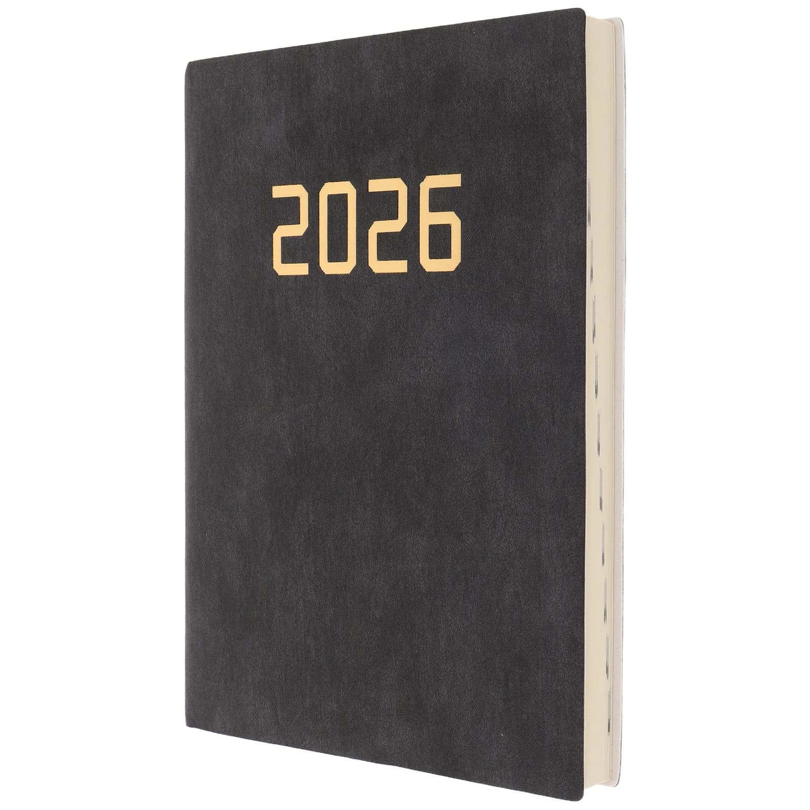 Agenda Giornaliera A5 2026 con Copertina in PU, Pagine Intere per Giorno, Organizer per Appuntamenti, Affari e Scuola