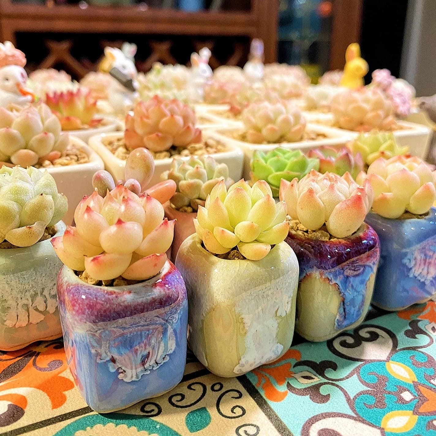10Pcs Mini Ceramics Fowerpot Mini Lithops Cactus Succulent Plant Thumb Flowerpot Home Garden Bonsai Potted Flower Pot Planting