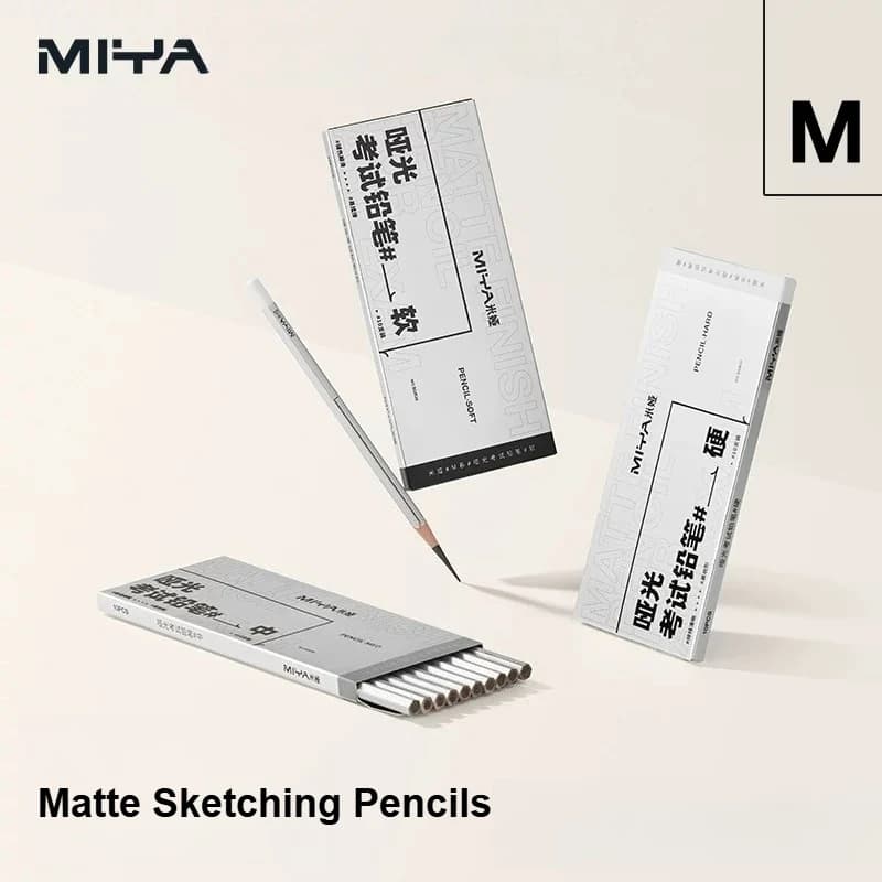 Miya Professional Charcoal Pencils Set, 10Pcs Matte Sketch Pencils,Soft Art Drawing Pencils for Students, Artists & Art Exams