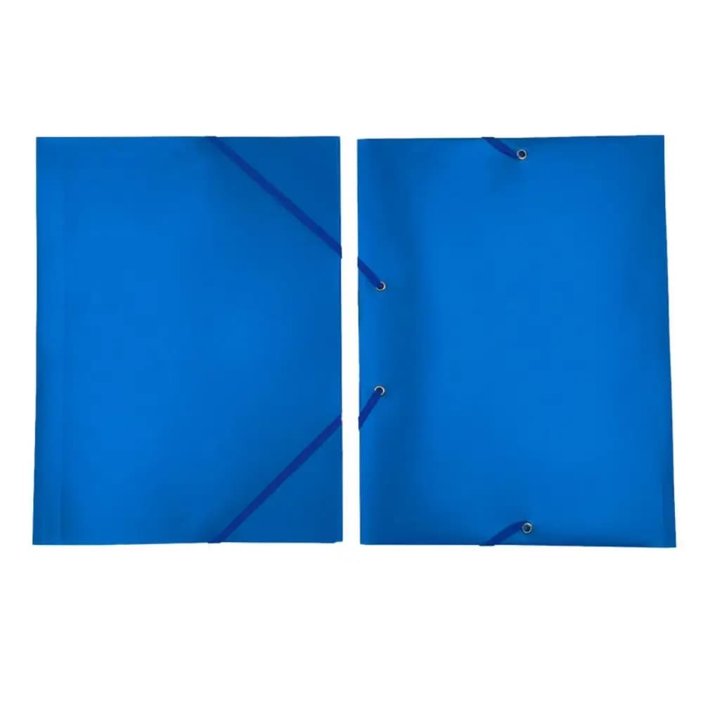 Cartella Portadocumenti A4 in Plastica Resistente, Espandibile con Elastico, Borsa Portadocumenti Grande Capacità, Organizer per Documenti Studenti