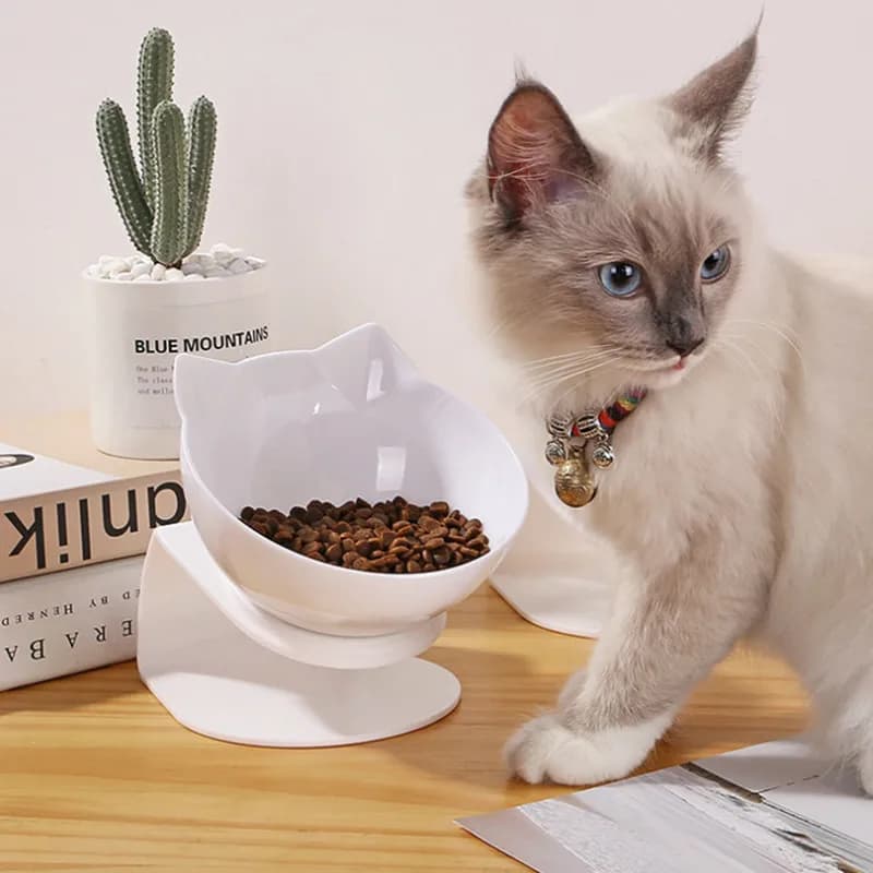 Ciotole Singole e Doppie per Gatti con Supporto Rialzato, Ciotole Antiscivolo, Contenitore per Cibo e Acqua per Animali Domestici, Mangiatoie per Gatti e Cani, Forniture per Cuccioli