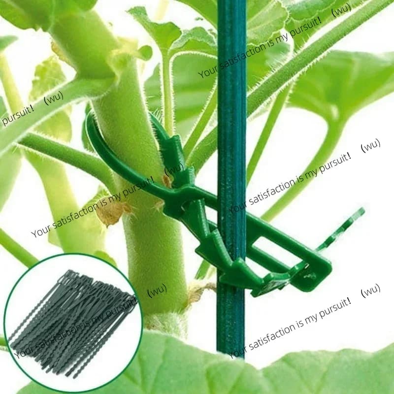 Fascette per cavi riutilizzabili in plastica regolabili da 50 pezzi Fascette per cavi riutilizzabili per albero da giardino Supporto per arrampicata Pianta Vite Clip per stelo di pomodoro