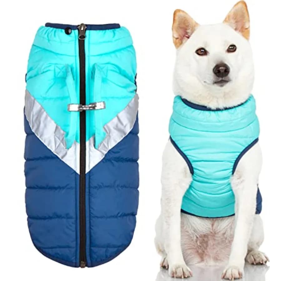 Giacca per Cani Mountaineer - Verde Menta Taglia L - Cappotto Caldo con Zip e Maniglia di Sollevamento, Guinzaglio a Doppio Anello, Resistente all'Acqua e Riflettente per Cani Piccoli