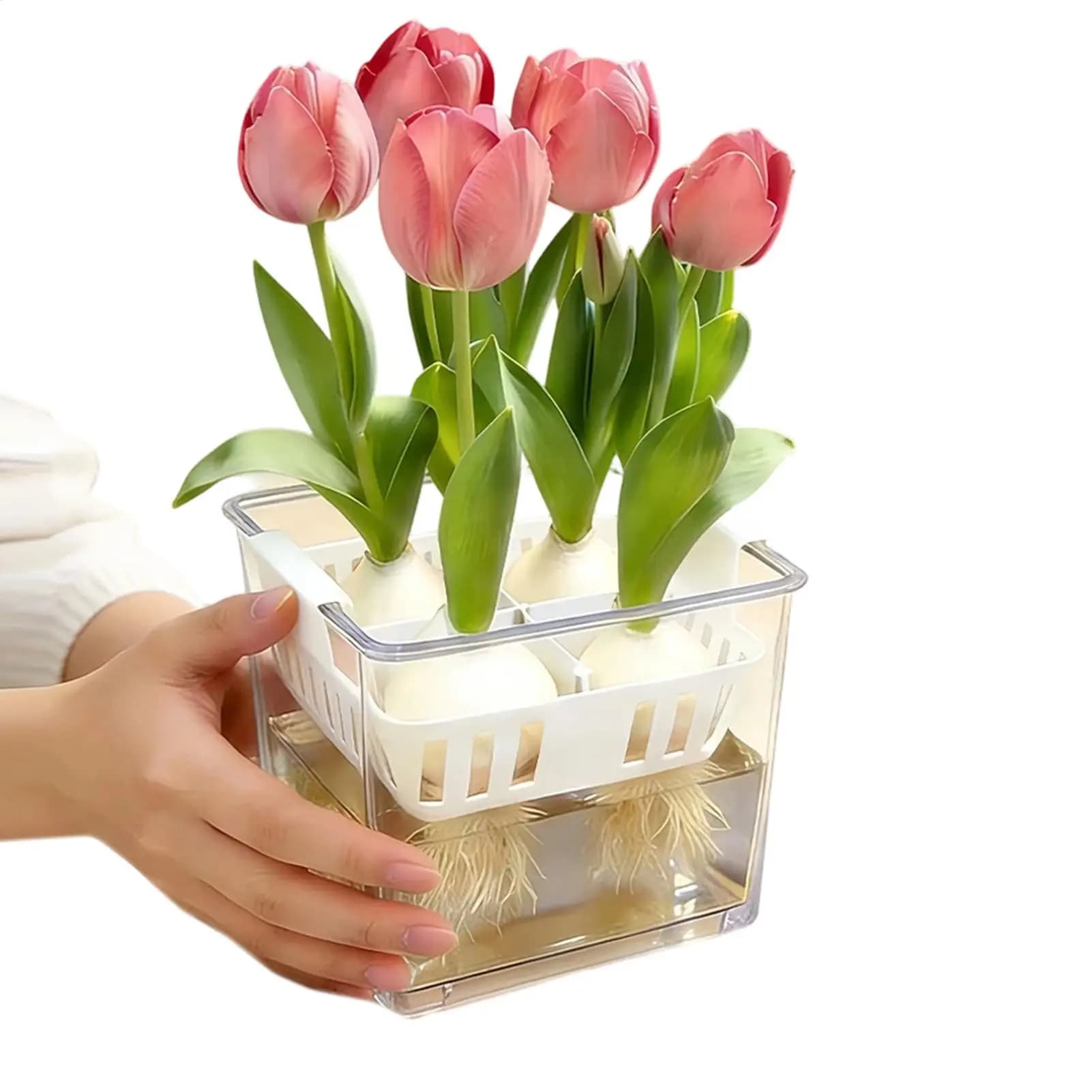 Hydroponic Containers With Breathable Support Basket Tulips Seed Hydroponic Flowerpot 4 Holes Soilless Flower Pot Home Decor