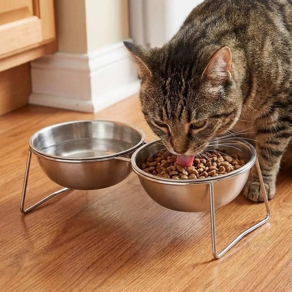 Large Capacity Stainless Steel Cat Bowl Anti-Tipping Neck Protection Elevated Pet Food Bowl Shatterproof Nonslip Cat Food Feeder