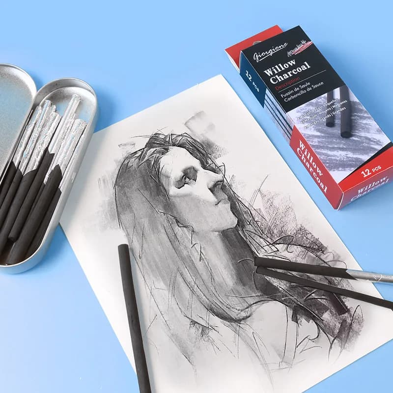 10/12 sketching carbon stick Charcoal pen Charcoal pen tool Fine Art Painting Wood willow cotton carbon strip