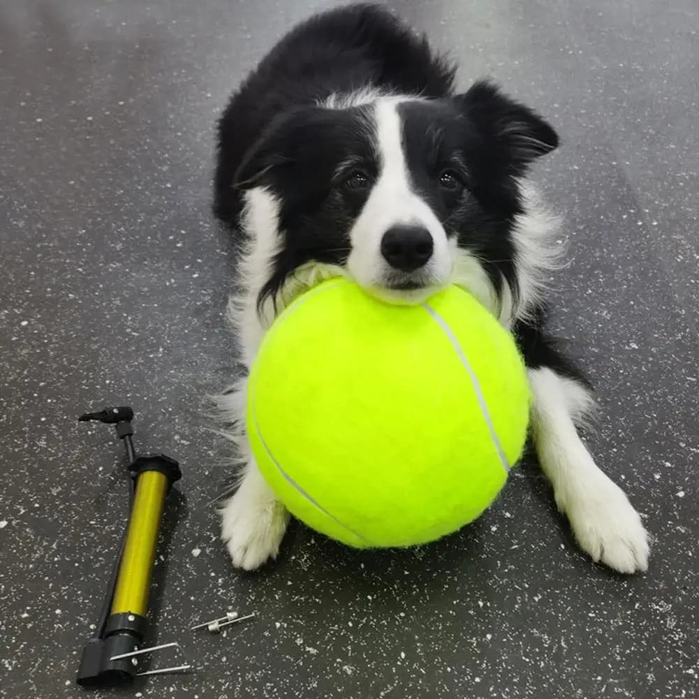 Palla da tennis gigante Giocattolo gonfiabile per animali domestici per palla da addestramento per cani Palla da tennis grande da 24 cm con giocattoli interattivi per cani con pompa d'aria