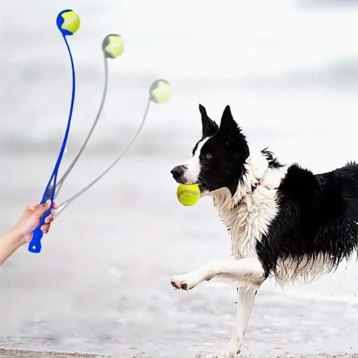 Bastone da lancio per palline per animali domestici, giocattolo per addestramento del cane, dispositivo da lancio per palline, allenamento per tennis all'aperto, divertente giocattolo da lancio per palline per cani