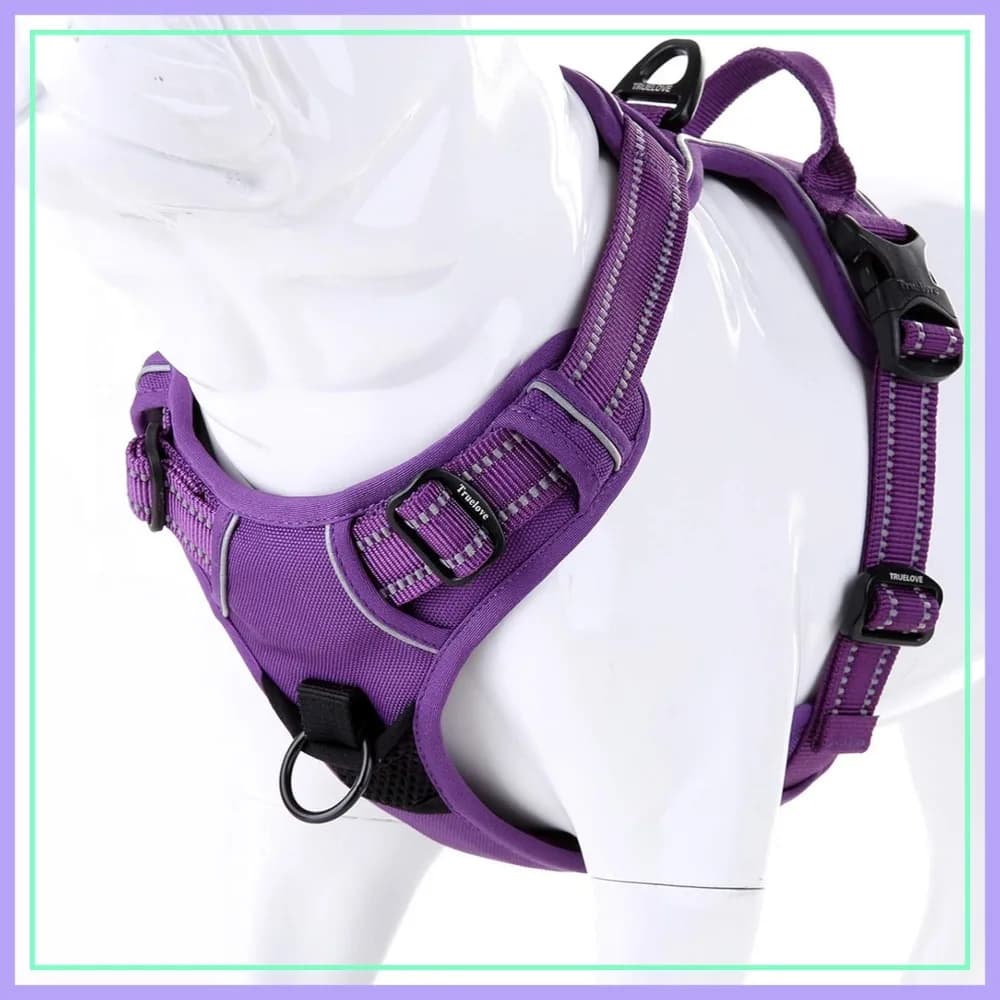 No Pull Dog Harness with Easy Control Handle and 2 Leash Attachments, Reflective Adjustable Pet Vest