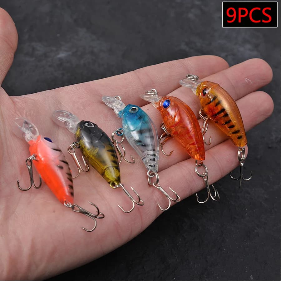 5 Pezzi Esche Artificiali Galleggianti Rocker Pike per la Pesca a Traina di Persici e Carpe - Wobbler Rigidi per la Pesca Sportiva