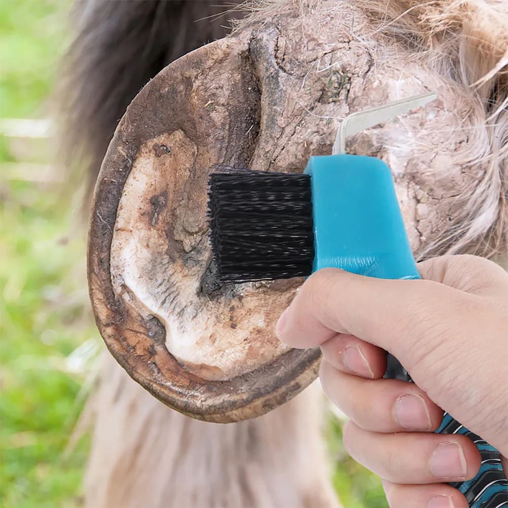 2 Pezzi Spazzole per Zoccoli di Cavallo, Strumenti Multifunzionali per la Pulizia e la Cura di Zoccoli, Stivali, Scarpe da Trekking e Ferri di Cavallo