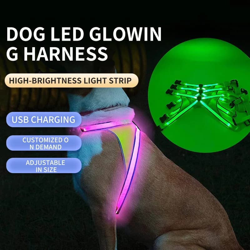 Gilet per cani con doppia striscia luminosa incrociata - Imbracatura di sicurezza per animali domestici ricaricabile tramite USB, guinzaglio riflettente a LED per passeggiate notturne