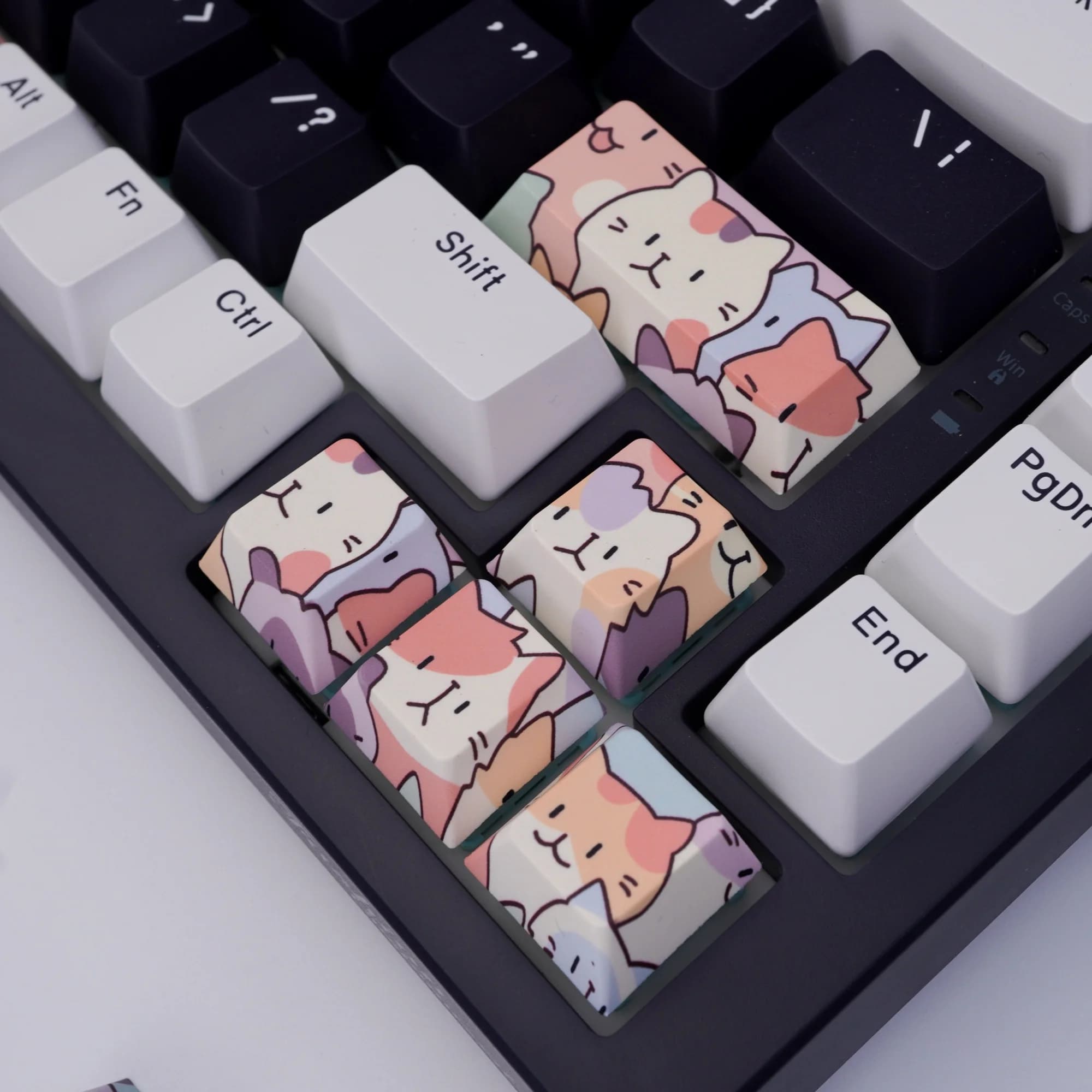 8PCS Cute Cat Keycaps Cherry Profile PBT Personalized Cat Keycap ESC/Enter/Spatial Bar/Direction Key Keyboard FAI FROM YOU